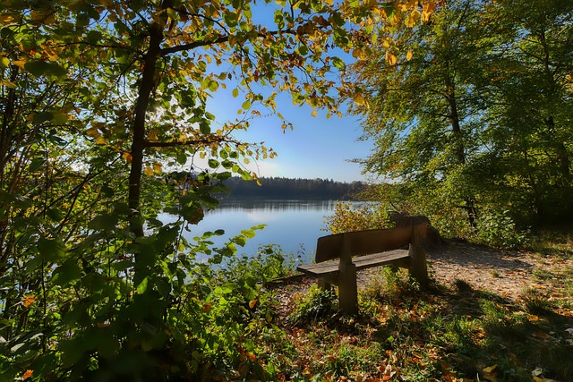 在这方面有 在这方面有