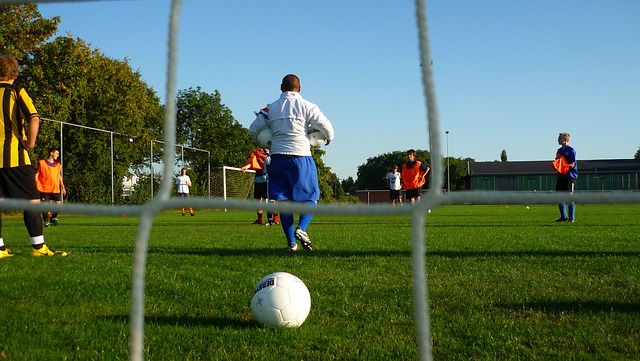 葡萄牙的优 葡萄牙的优