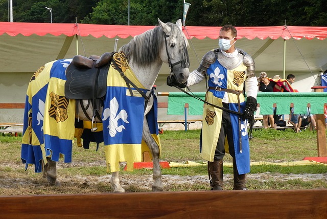 这一声明不 这一声明不