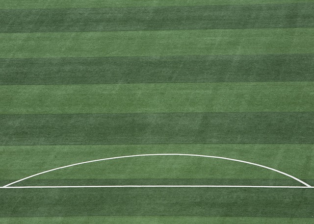 迪巴拉近 迪巴拉近