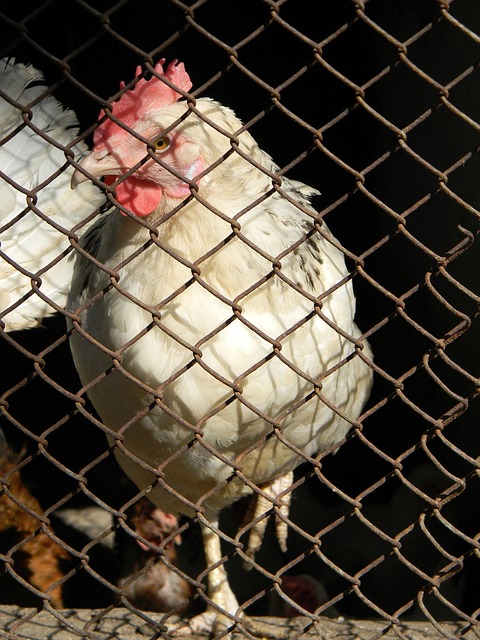 接数名防守 接数名防守