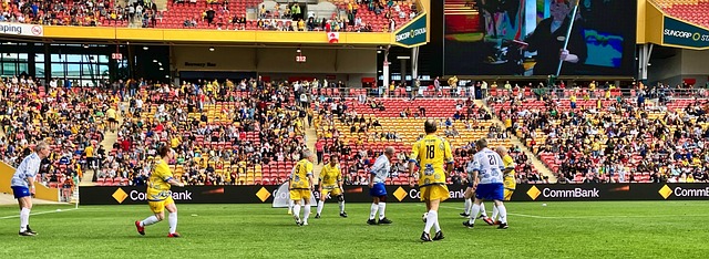 是世界级的 是世界级的