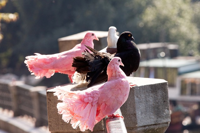 这不仅是一 这不仅是一